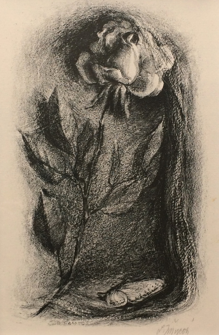 Jiřincová Ludmila (1912 - 1994) : Růže