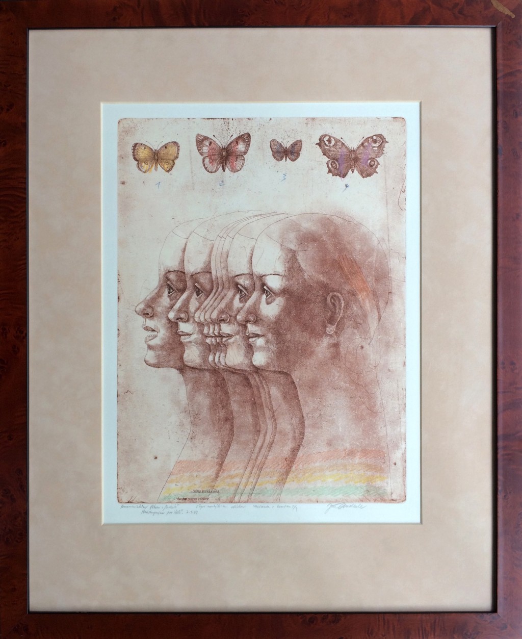 Anderle Jiří (1936) : Čtyři motýli a dívka