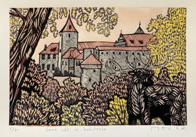 Macek Pavel  : Černá věž a Daliborka