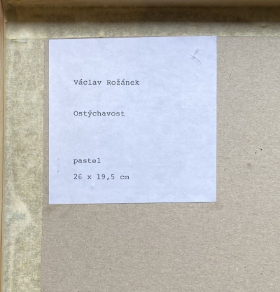 prev_1634037512_Ostychavost_vyrez.jpg